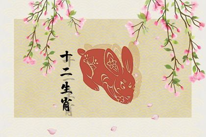 2023年农历的兔年 属兔今年需要注意什么事项