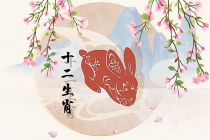 如何用出生时辰看属兔男孩运势