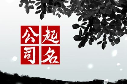 民宿公司名称怎么起名才有创意？公司名字起名技巧分享