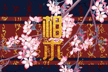 看面相了解一个人  脸型端正饱满者善心强 