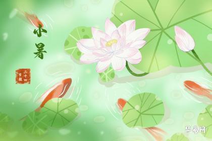 2023年小暑生日好不好 小暑生日的人是什么星座