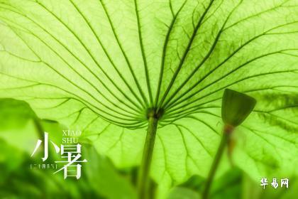 2023年小暑适合领证吗 小暑这天民政局有开门吗