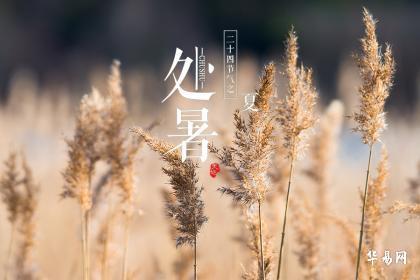 处暑萝卜白露菜是什么意思_关于处暑的诗词