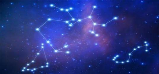 十二星座专属鲨鱼