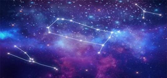 十二星座的本命动物