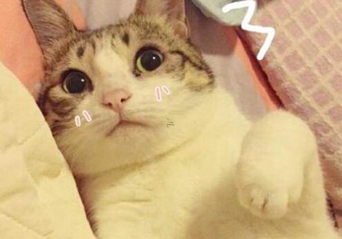 手掌里边有痣好不好?有什么寓意?