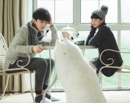 属猪本命年能不能结婚,属猪本命年生孩子好吗
