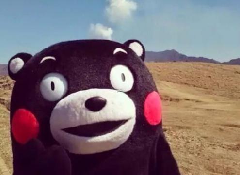 2023年兔女孩特别特别的名字