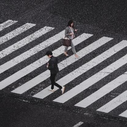 梦见家里跑来狮子
