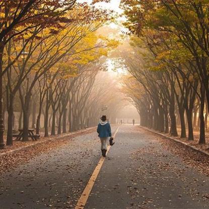 2023年10月2日是什么命「今日出生的人命运好不好」