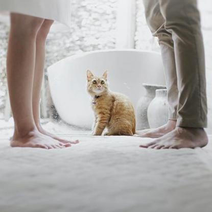 水火无情,猜生肖