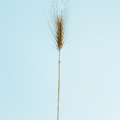 池城的寓意,取名池城名字的含义意思解析
