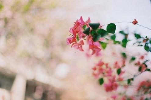 中秋节意味着什么寓意