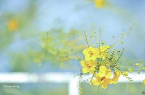 红龙的寓意,取名红龙名字的含义意思解析